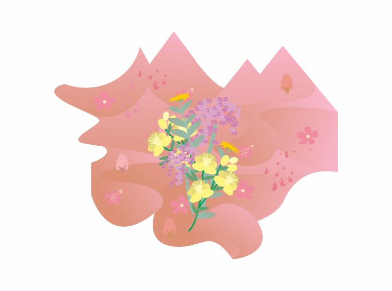 Иллюстративное фото региона