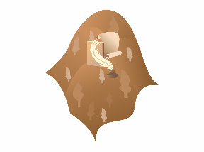 Бүс нутгийн танилцуулгын зураг