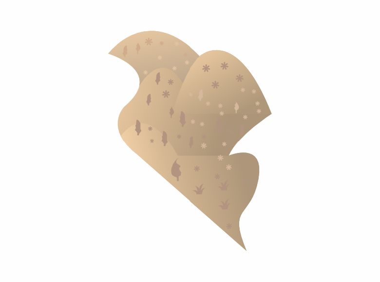 Illustrative photo of the region