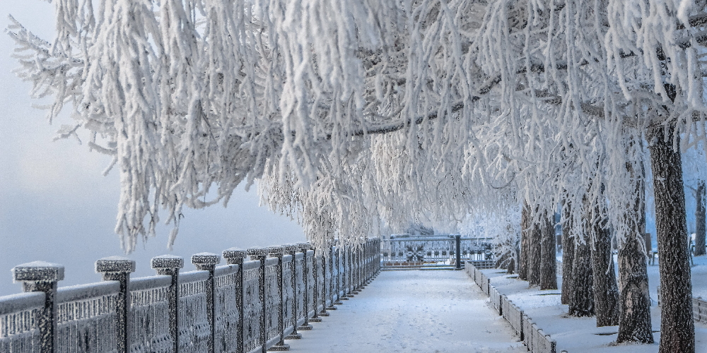 russia winter