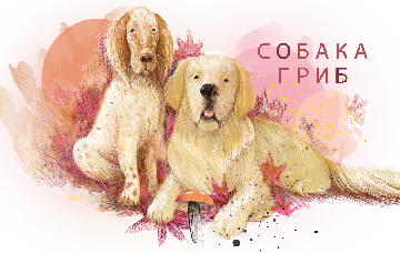 Изображение к статье