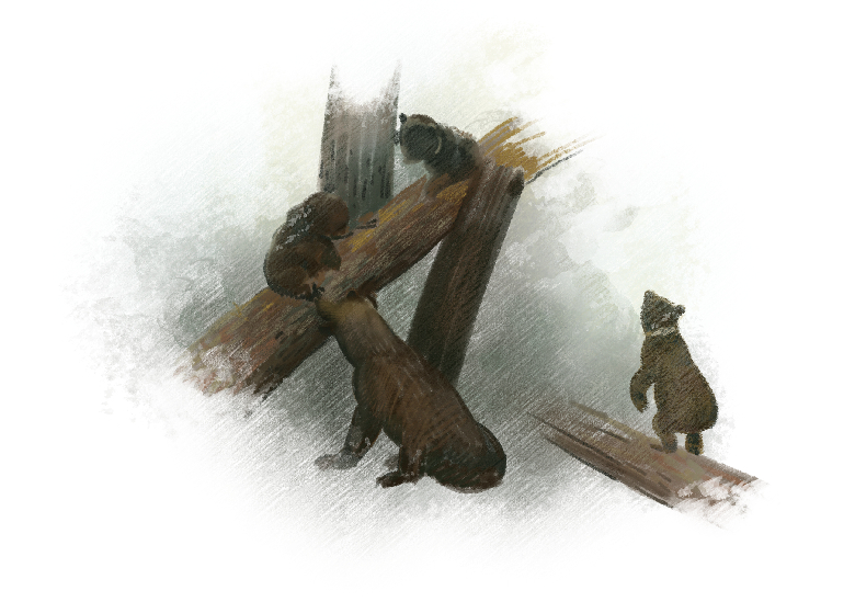 الصورة الرئيسية للمقالة